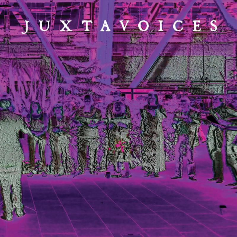 Picture of Juxtavoices - Juxtanother Antichoir From Sheffield
