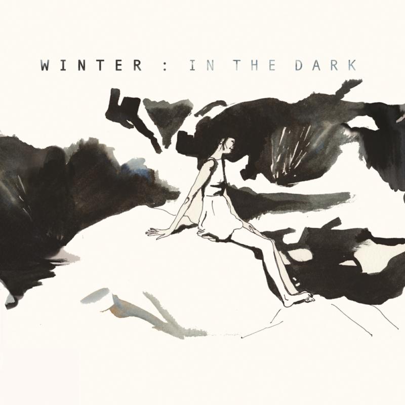 Picture of Winter - In The Dark