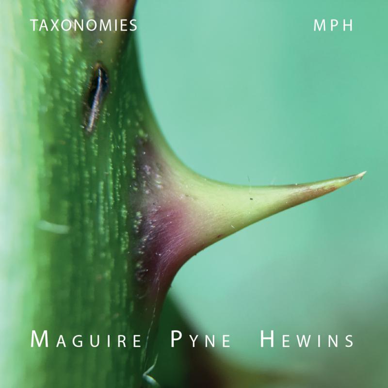 Picture of Alex Maguire, Martin Pyne & Mark Hewins - Taxonomies