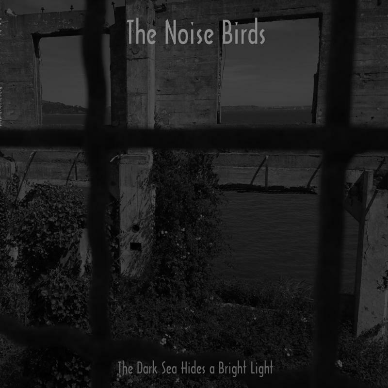 Picture of The Noise Birds - Th Dark Sea Hides A Bright Li