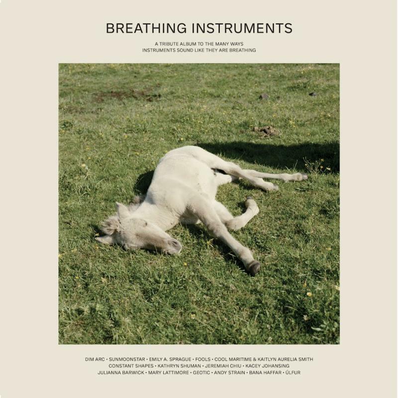 Picture of Various Artists - Breathing Instruments