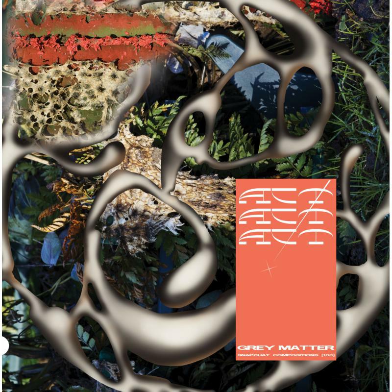 Picture of Act! - Grey Matter Ar Snapchat Compos