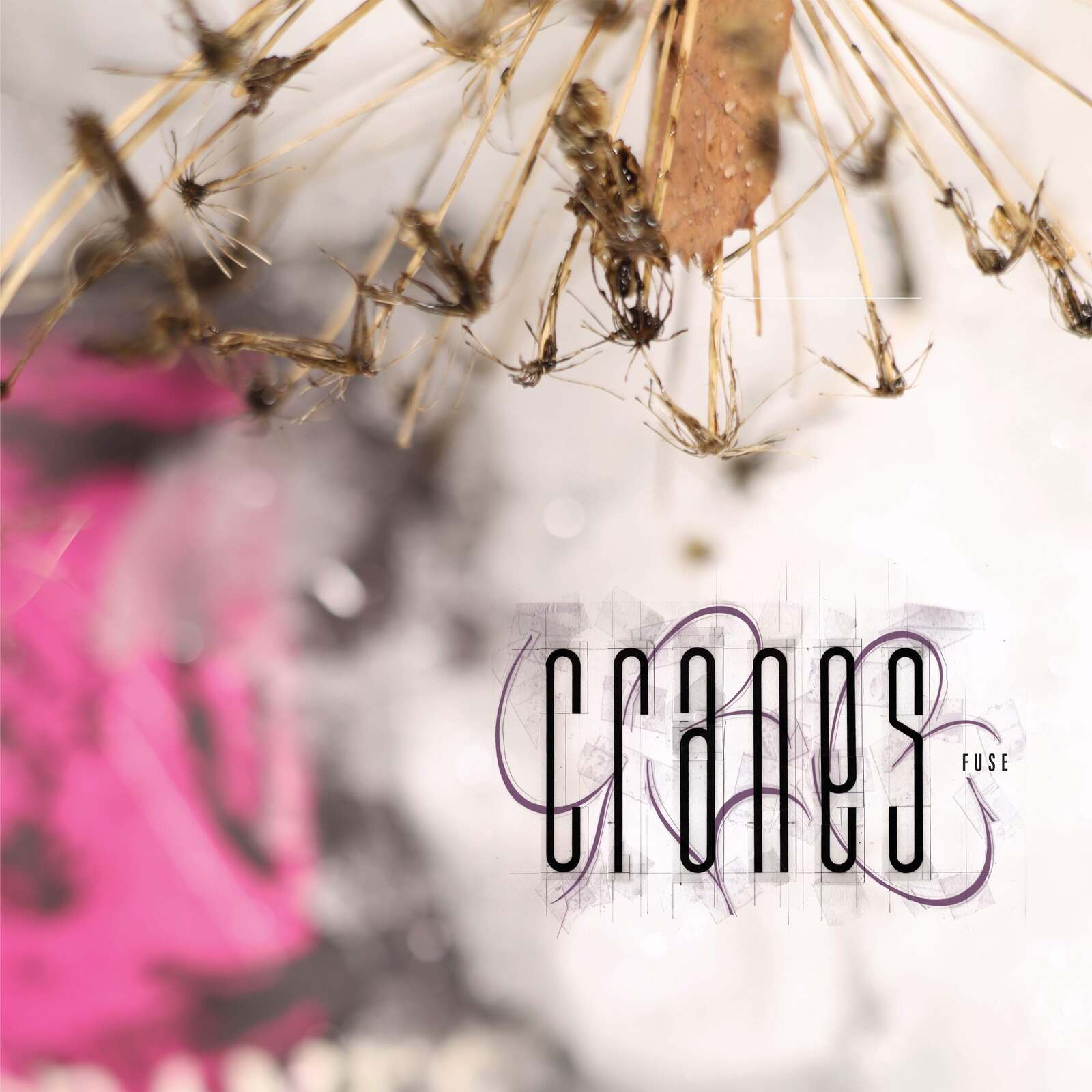 Picture of CRANES - FUSE