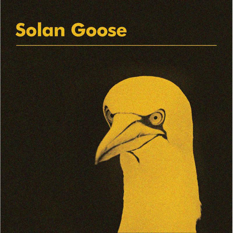 Picture of Erland Cooper - Solan Goose