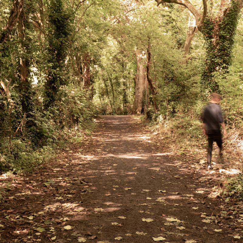 Picture of Paddy Mulcahy - How To Disappear