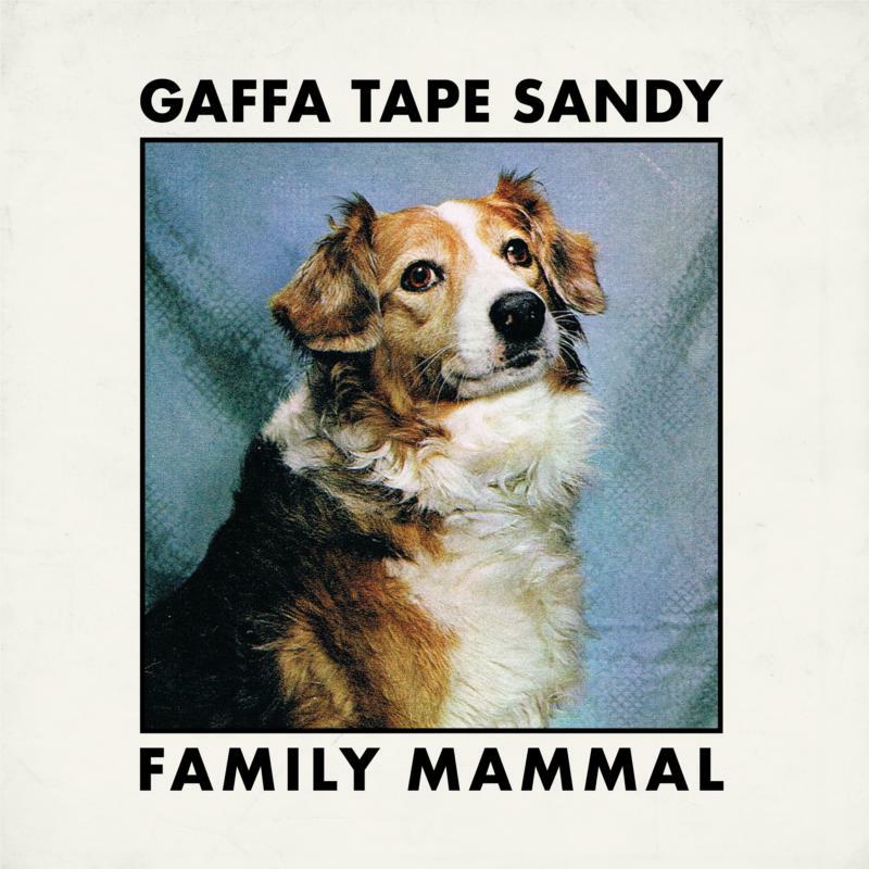 Picture of Gaffa Tape Sandy - Family Mammal