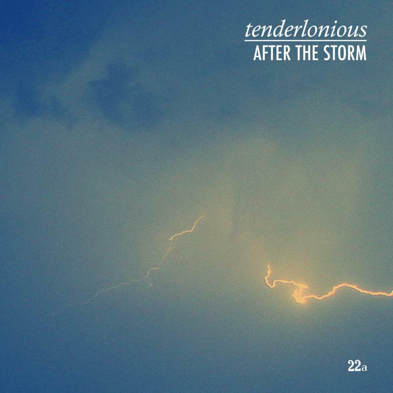 Picture of Tenderlonious - After The Storm (12 EP)