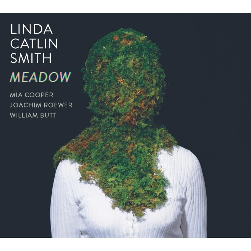 Picture of Linda Catlin Smith - Meadow