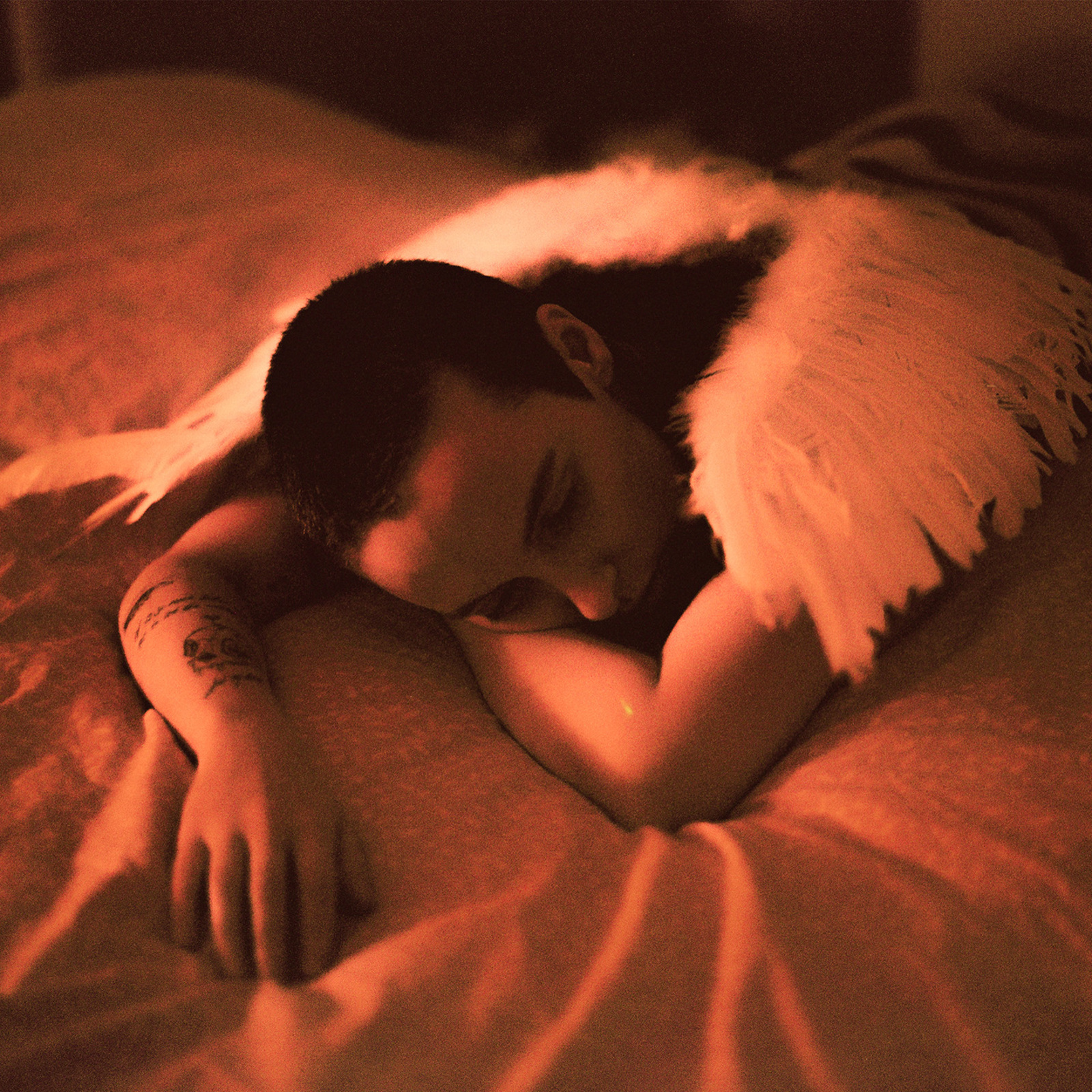 Picture of Sea Girls - Midnight Butterflies