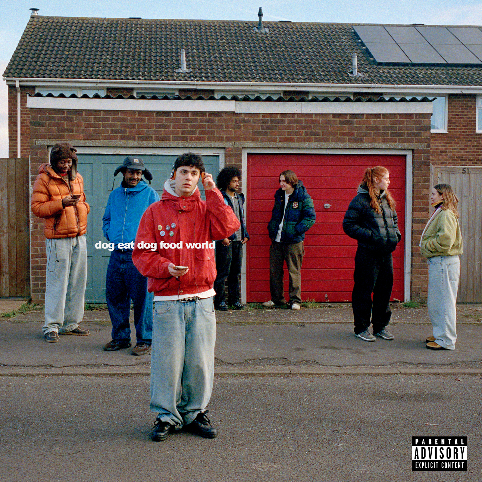 Picture of Niko B - dog eat dog world food