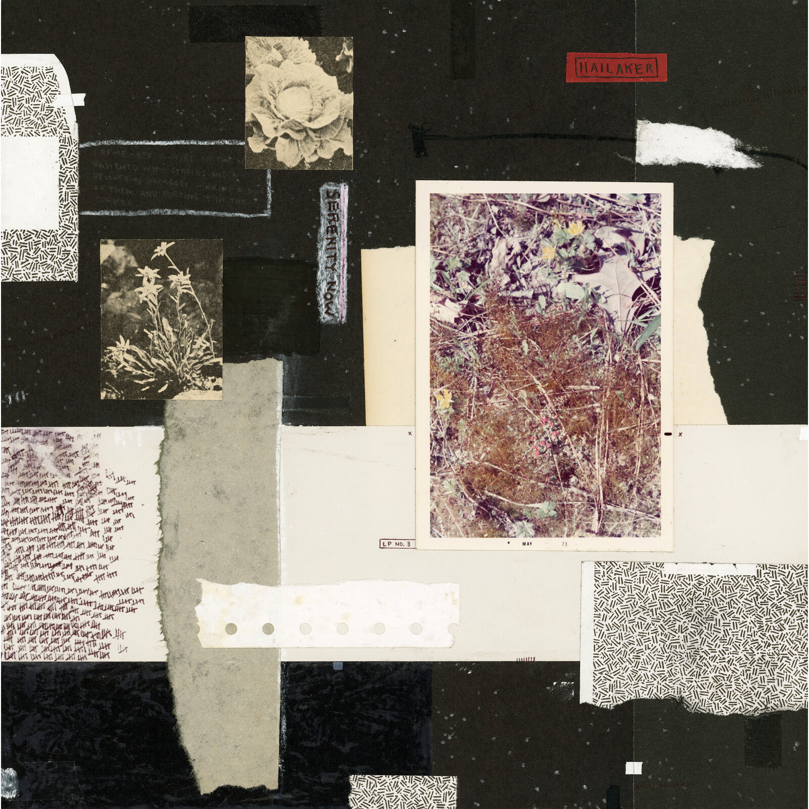 Picture of Hailaker - Serenity Now