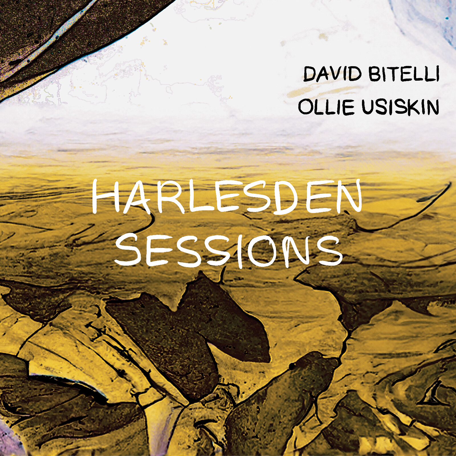 Picture of David Bitelli & Ollie Usiskin - Harlesden Sessions