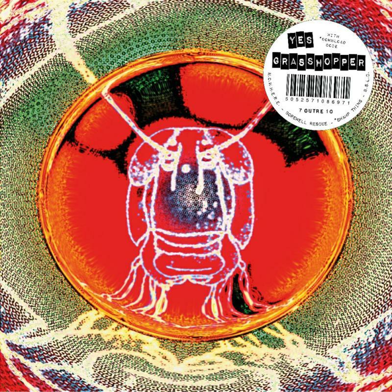Picture of Yes Grasshopper - N.O.W.H.E.R.E.