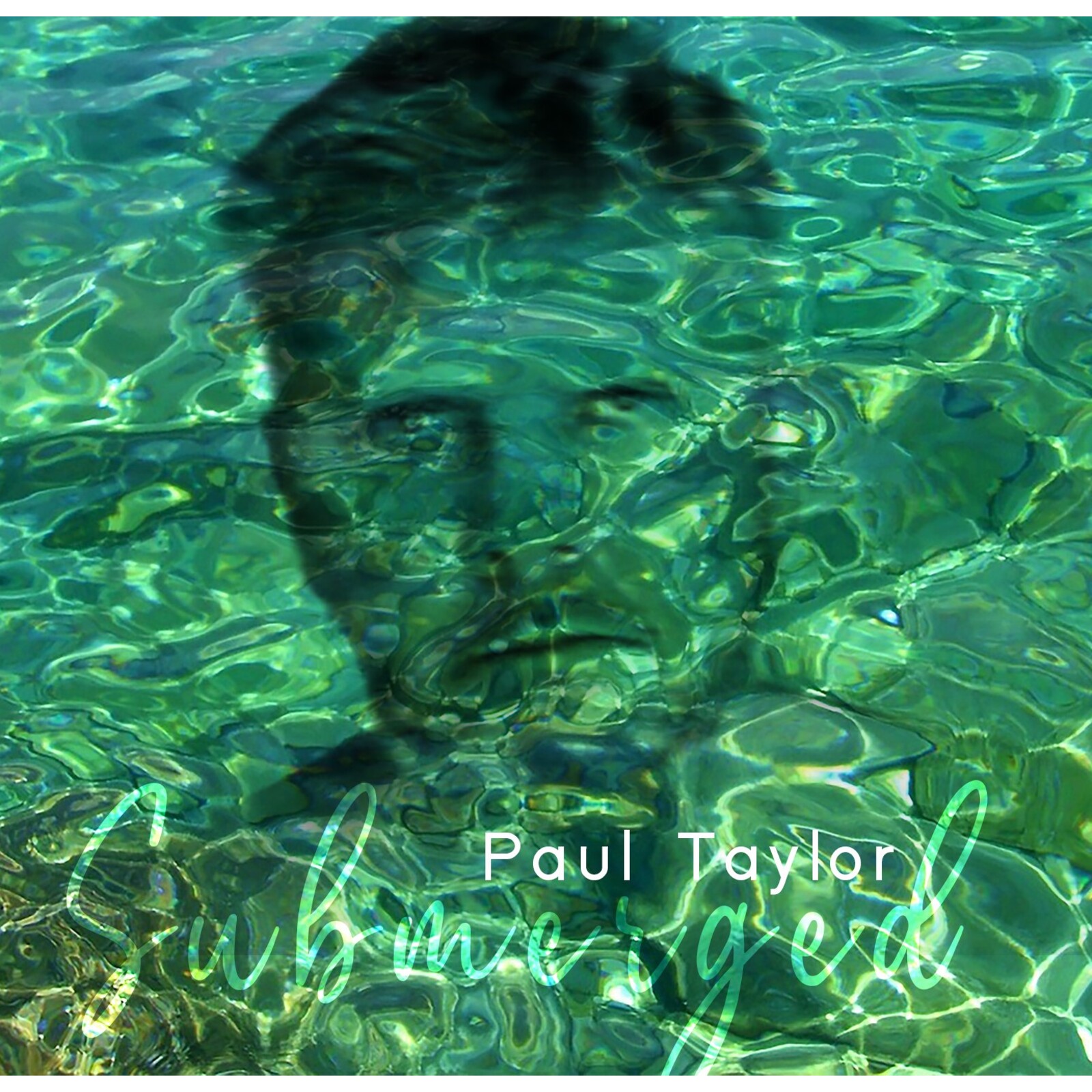 Picture of Paul Taylor - Submerged