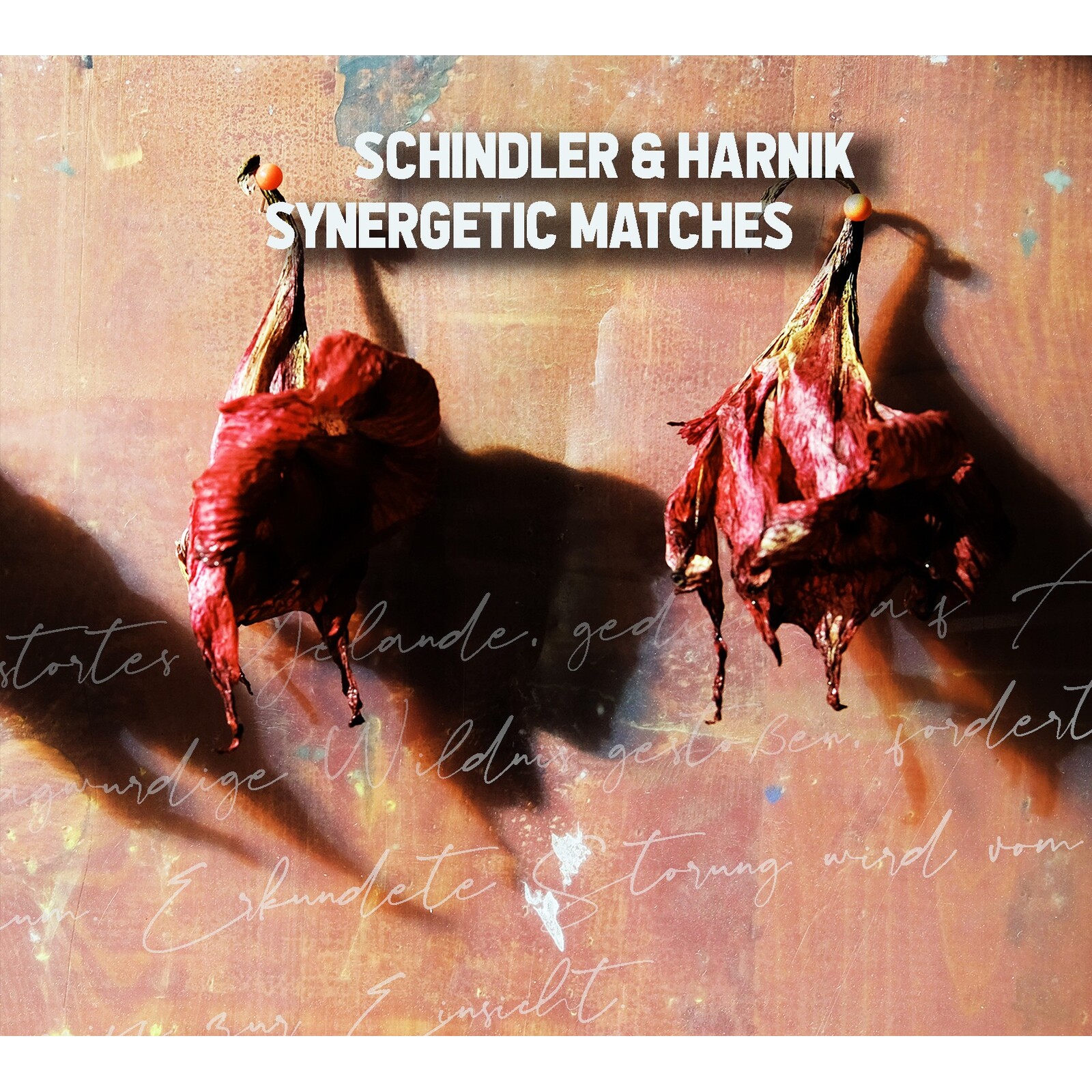 Picture of Schindler & Harnik - Synergetic Matches