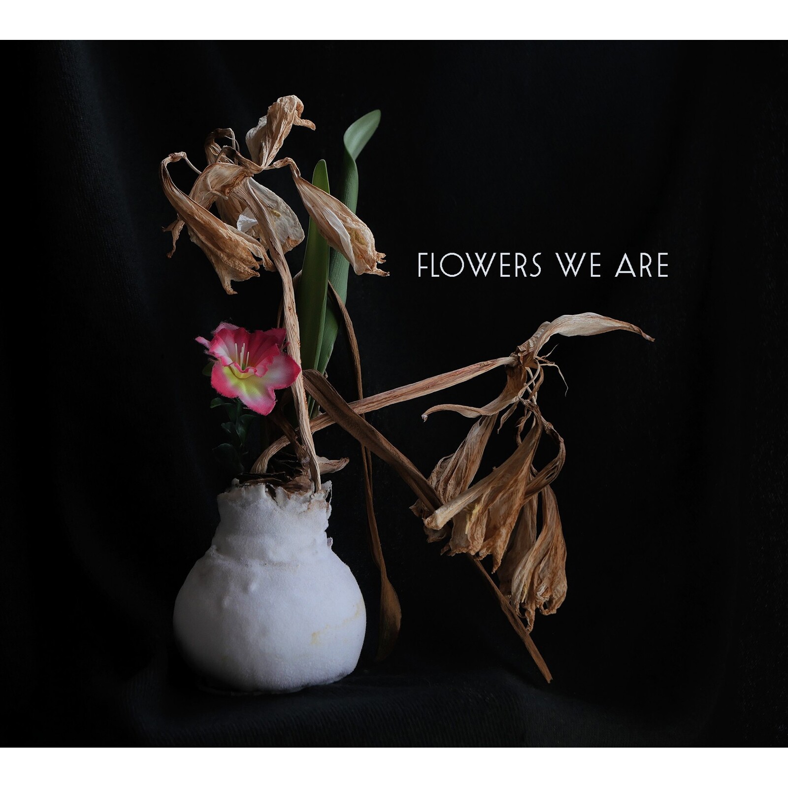 Picture of Flowers We Are - Flowers We Are
