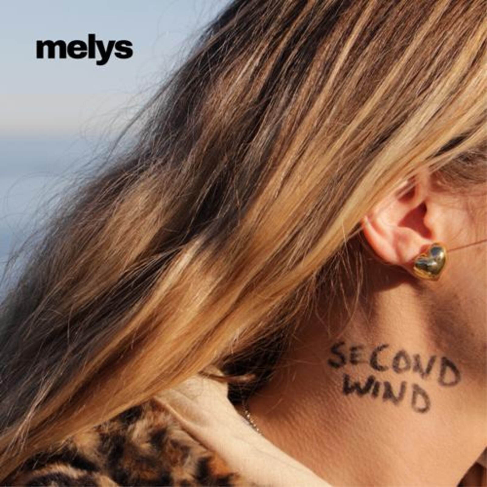 Picture of Melys - Second Wind