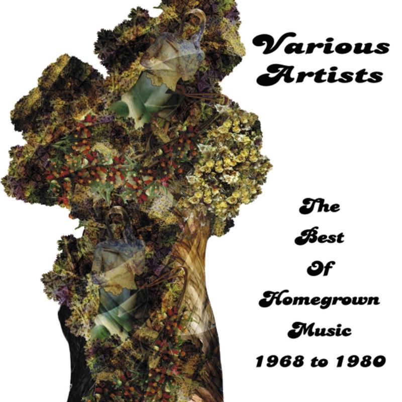 Picture of Various Artists - The Best Of Homegrown Music 1968 - 1980