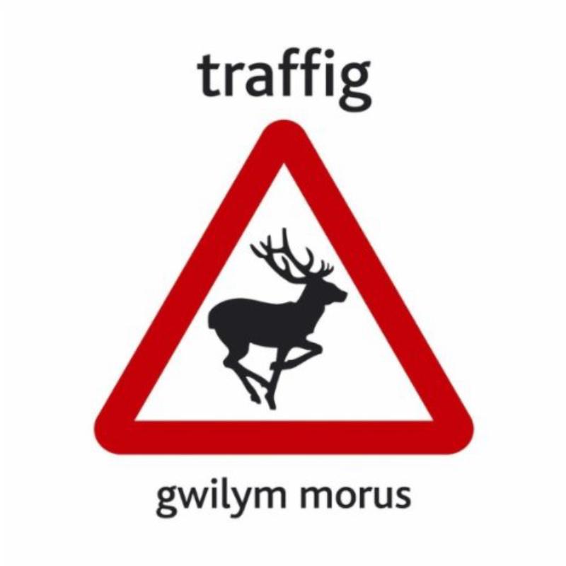 Picture of Gwilym Morus - Traffig