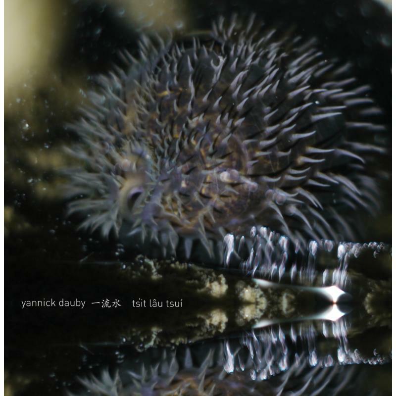 Picture of Yannick Dauby - Penghu Experimental Sound Studio Vol1