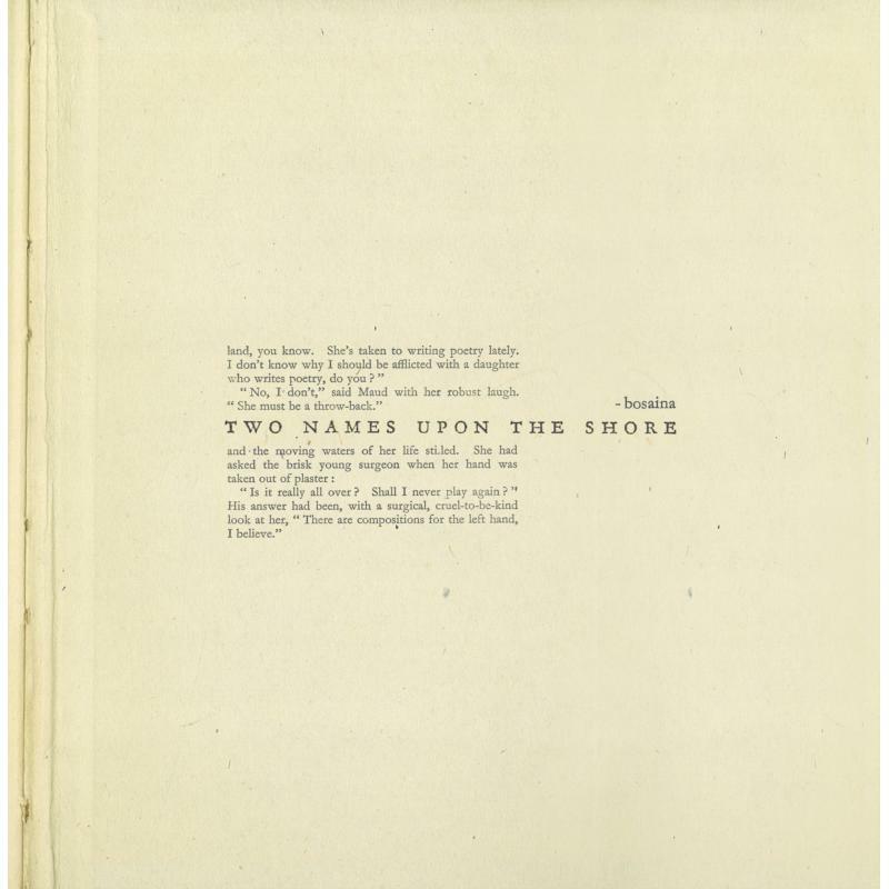 Picture of Bosaina - New York / Two Names Upon the Shore