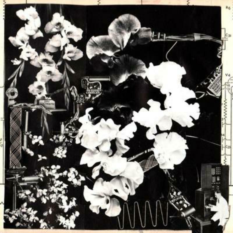 Picture of Ergo Phizmiz - Two Quartets