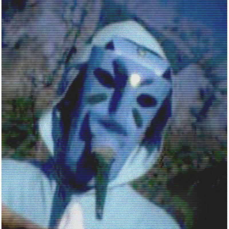 Picture of Lots siquicos Litorale?os - Radio Siquica