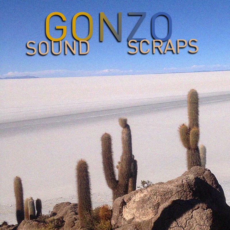 Picture of Gonzo - Sound Scraps