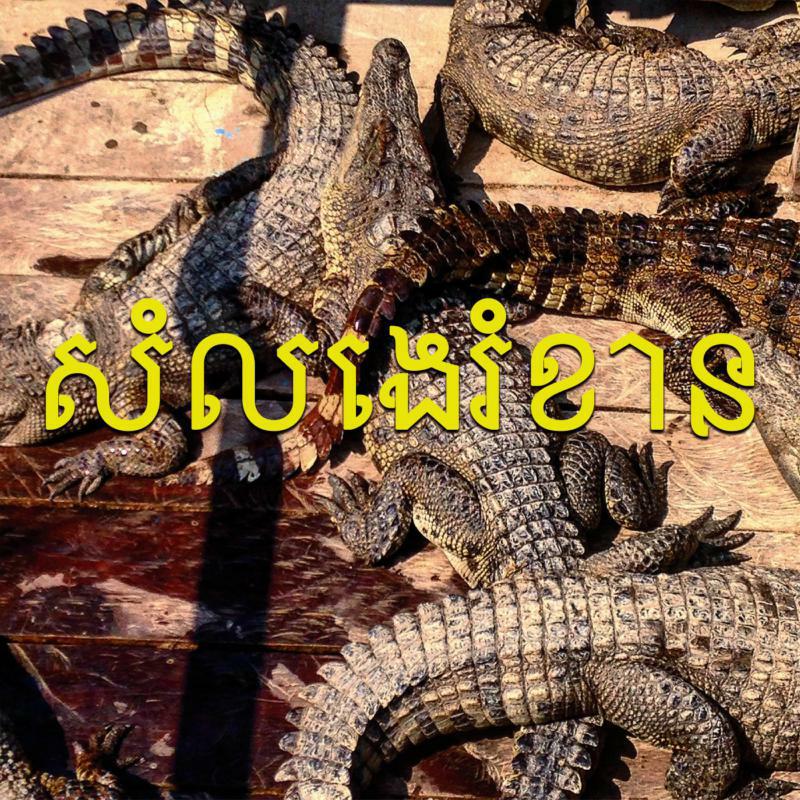 Picture of Gonzo - SE Asian Noise(s)