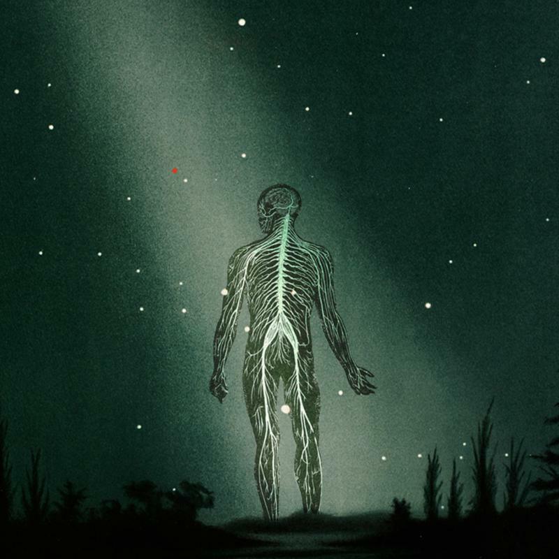 Picture of Prophetas - Maury Island Reverie