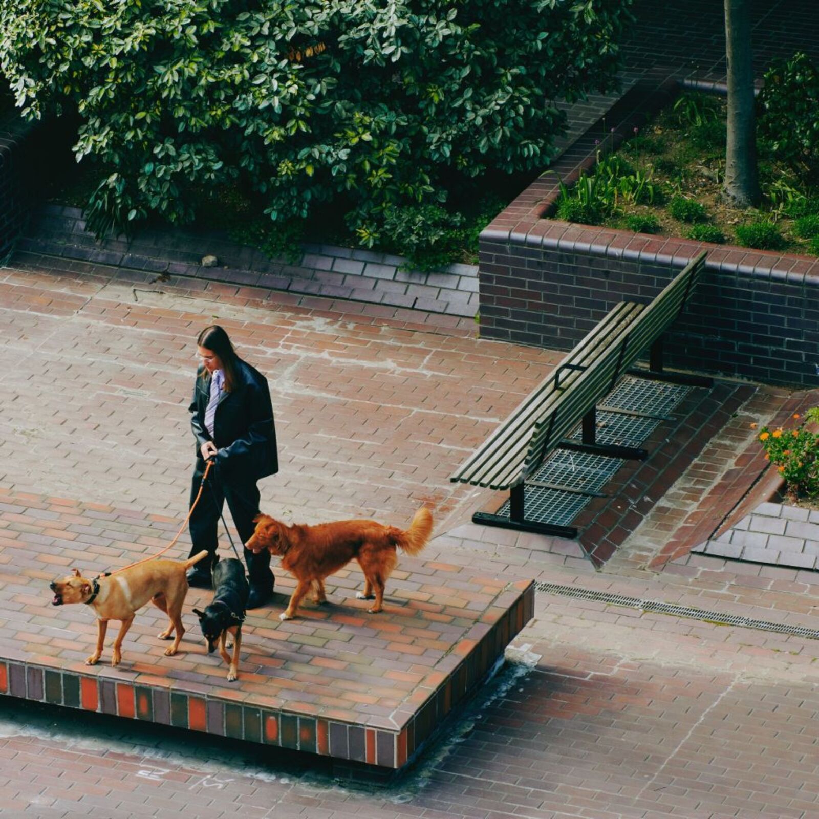 Picture of SAINT DX - Way Back Home