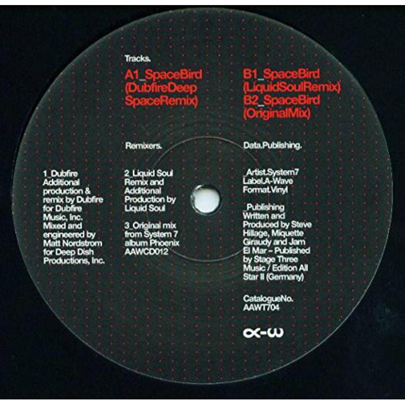 Picture of System 7 - Space Bird Dubfire and