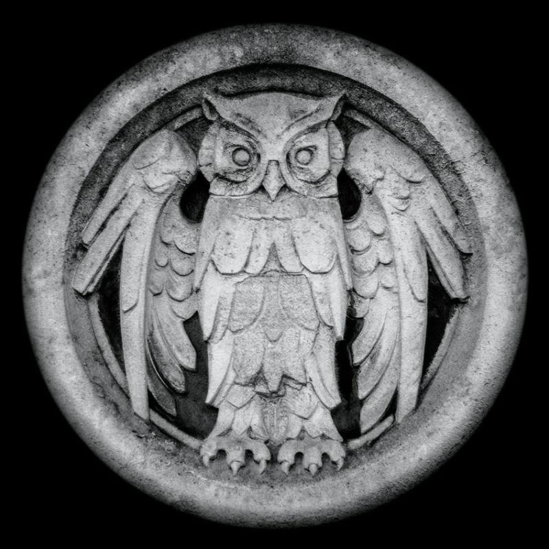 Picture of Monarchy - Abnocto