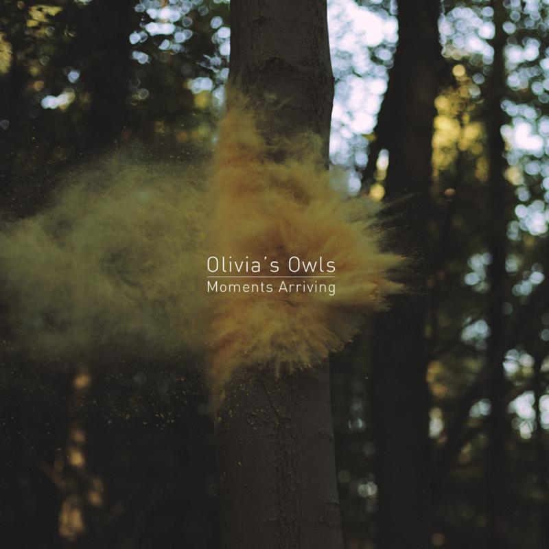 Picture of Olivia�s Owls - Moments Arriving