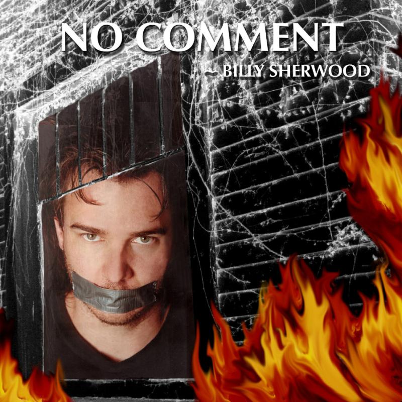 Picture of Billy Sherwood - No Comment