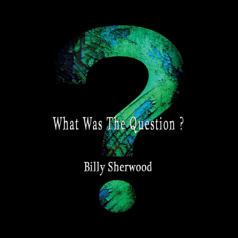 Picture of Billy Sherwood - What Was The Question?