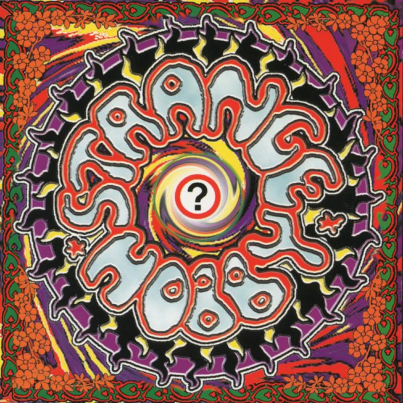 Picture of Arjen Anthony Lucassen - Strange Hobby