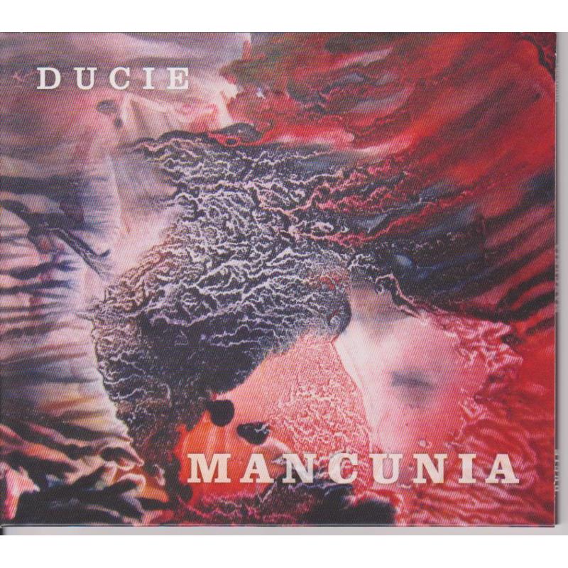 Picture of Ducie - Mancunia