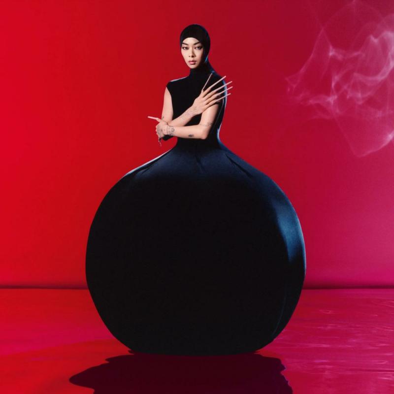 Picture of Rina Sawayama - Hold The Girl (Silver & Grey Marble Vinyl)