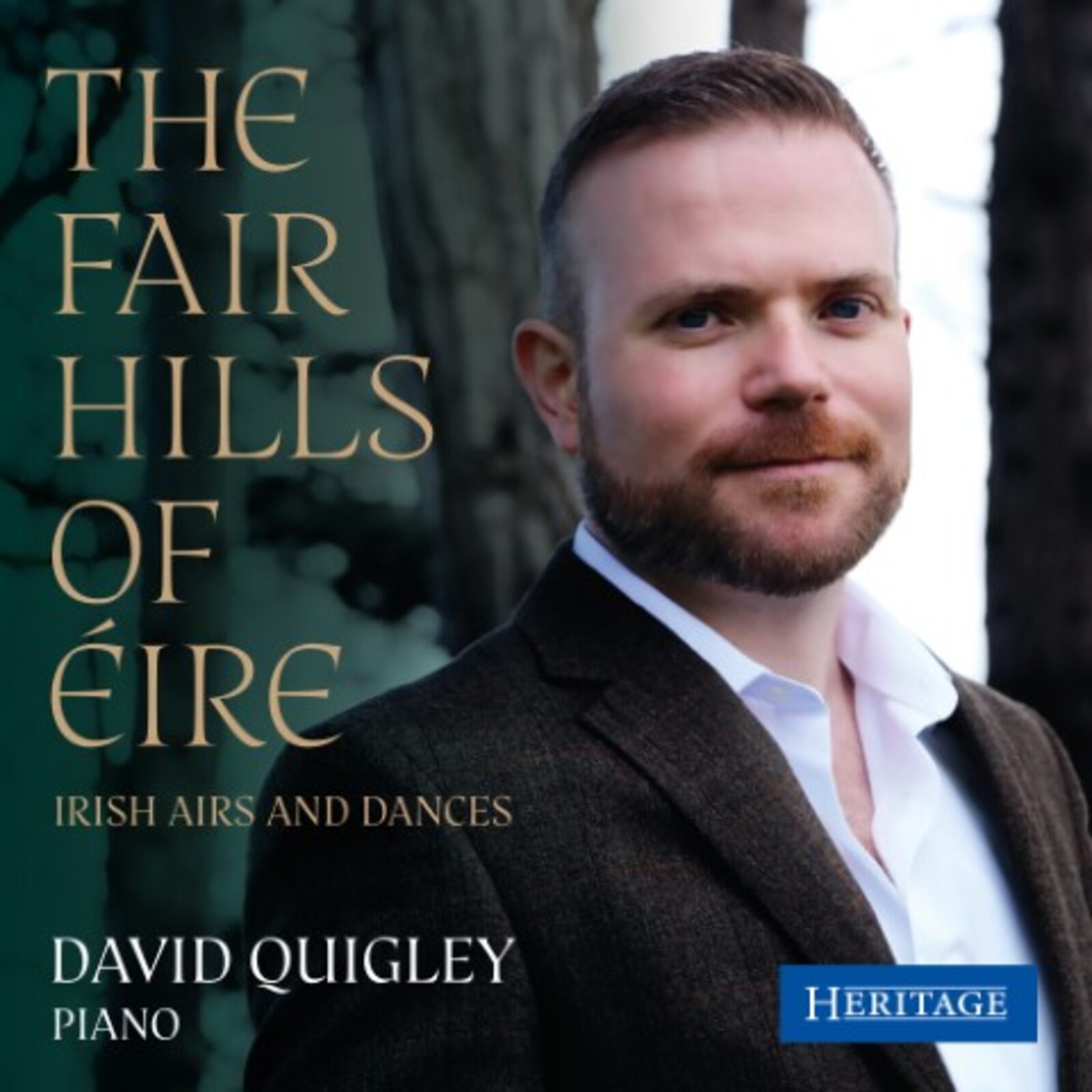 Picture of DAVID QUIGLEY - THE FAIR HILLS OF EIRE
