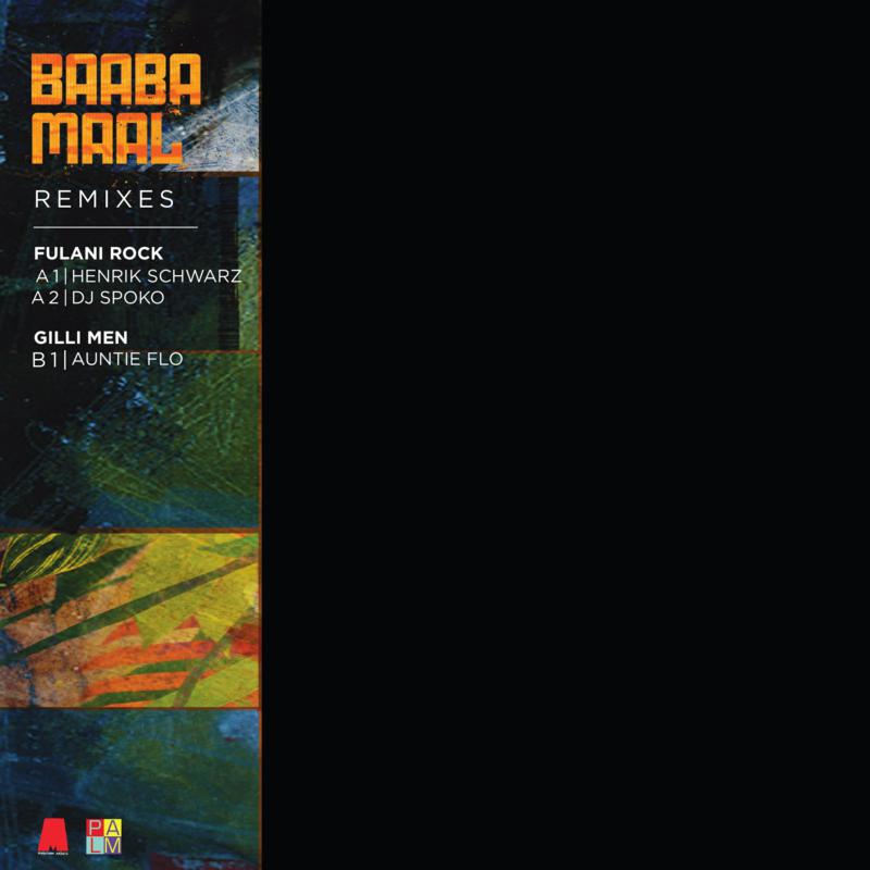 Picture of Baaba Maal - Remixes (12 EP)