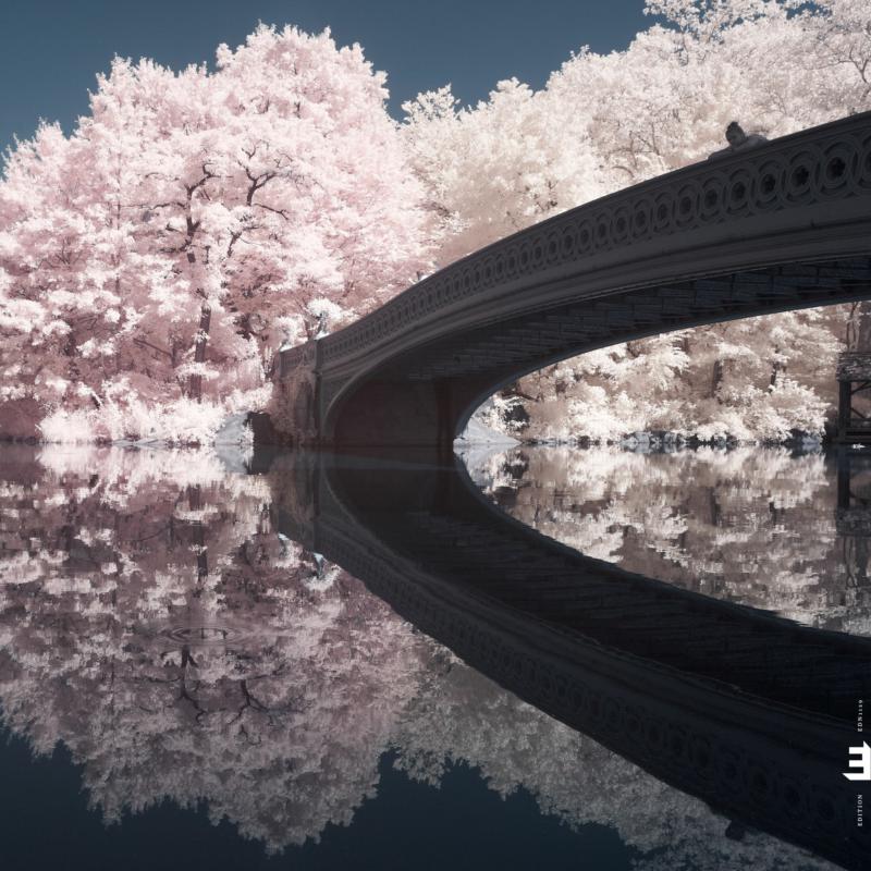 Picture of Liam Noble - The Long Game