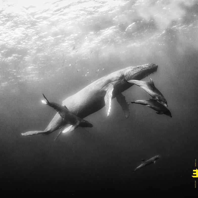 Picture of Kevin Hays and Lionel Loueke - Hope