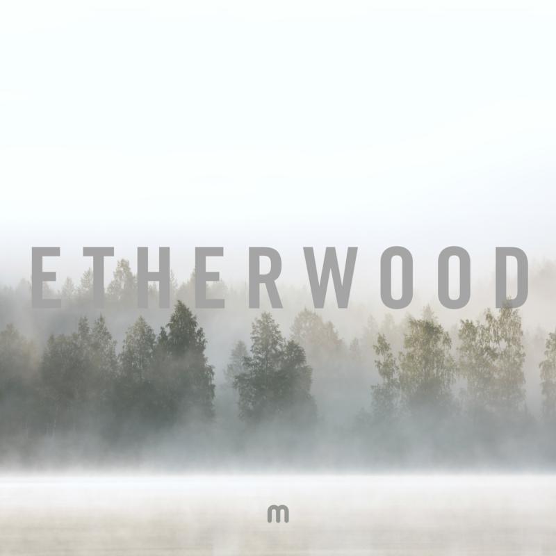 Picture of Etherwood - In Stillness