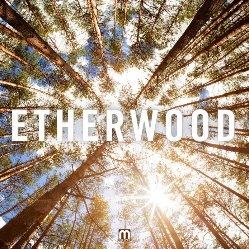 Picture of Etherwood - Etherwood