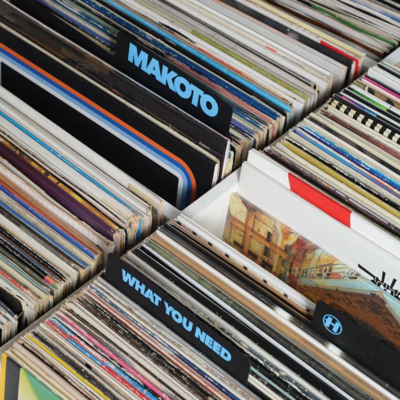 Picture of Makoto - What You Need