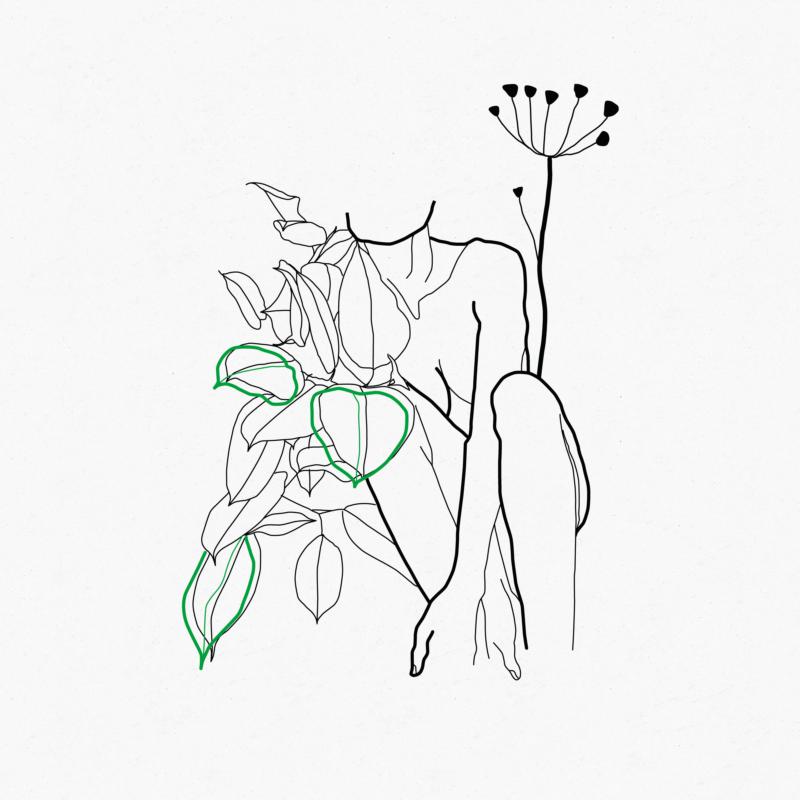 Picture of Bop x Subwave - Renaissance