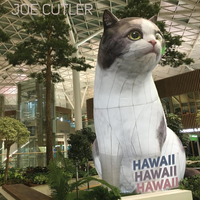 Picture of Orkest de Ereprijs; Wim Boerman; Trish Clowes; BBC Concert Orchestra - Joe Cutler: Hawaii Hawaii Hawaii