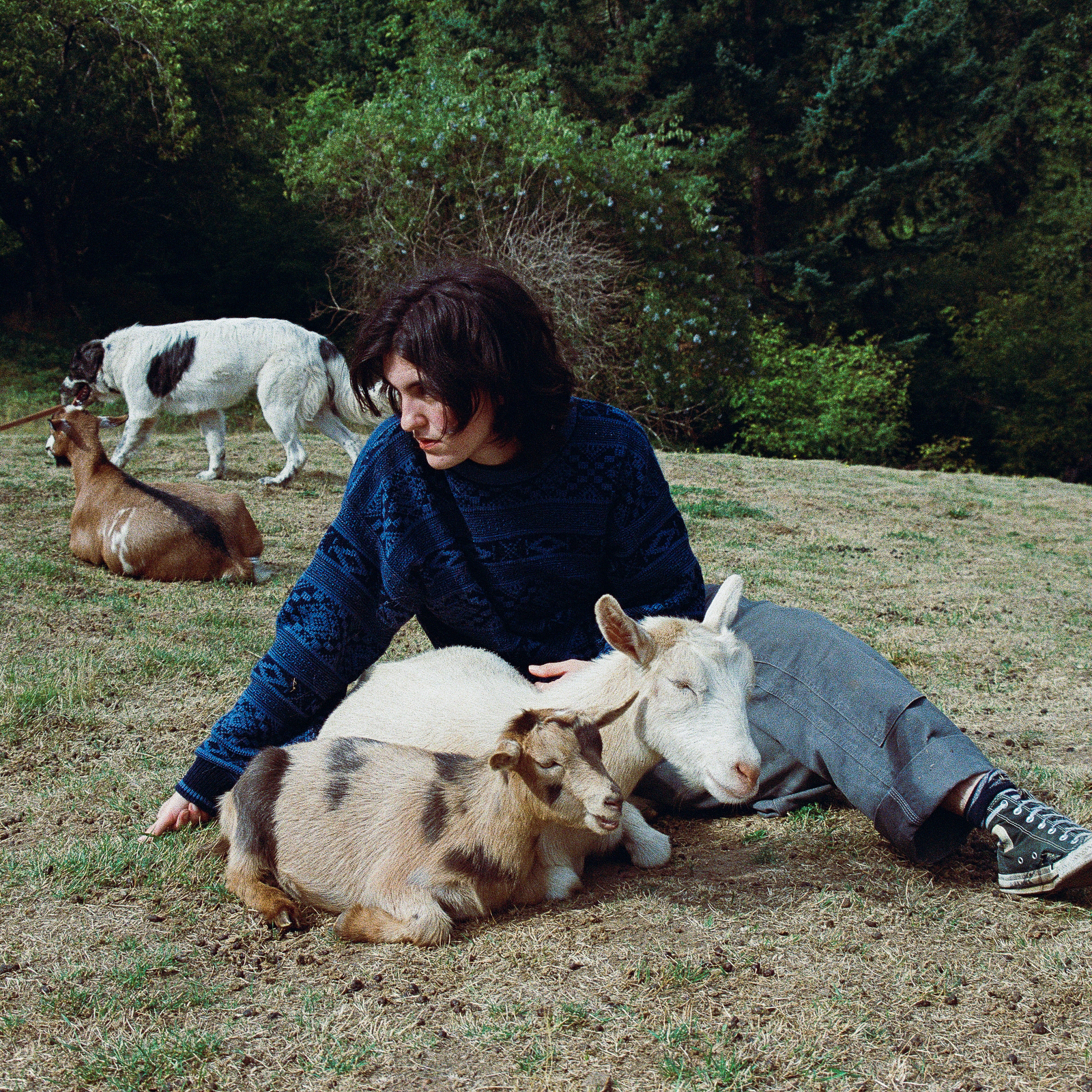 Picture of Searows - End Of The World