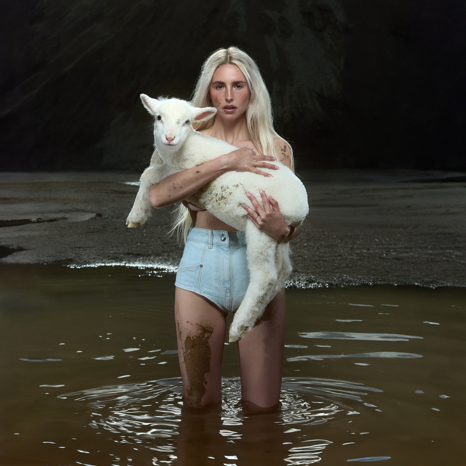 Picture of LAUREL - PALPITATIONS